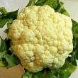 カリフラワー