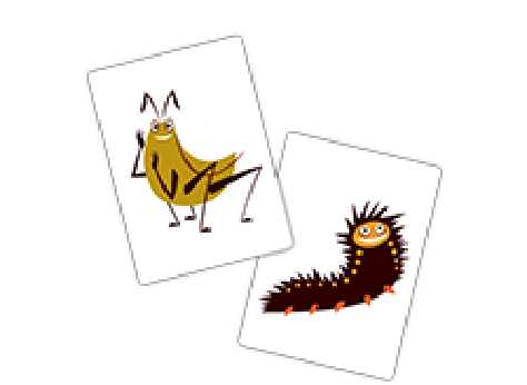 写真や名前から探す