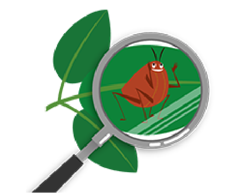 植物名から探す