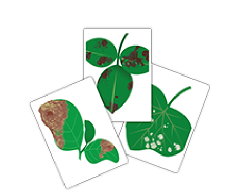 写真や名前から探す